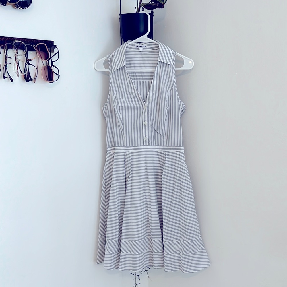Express fit and flare dress